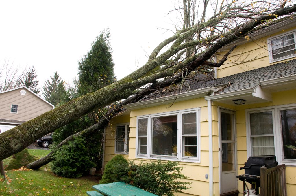 storm names